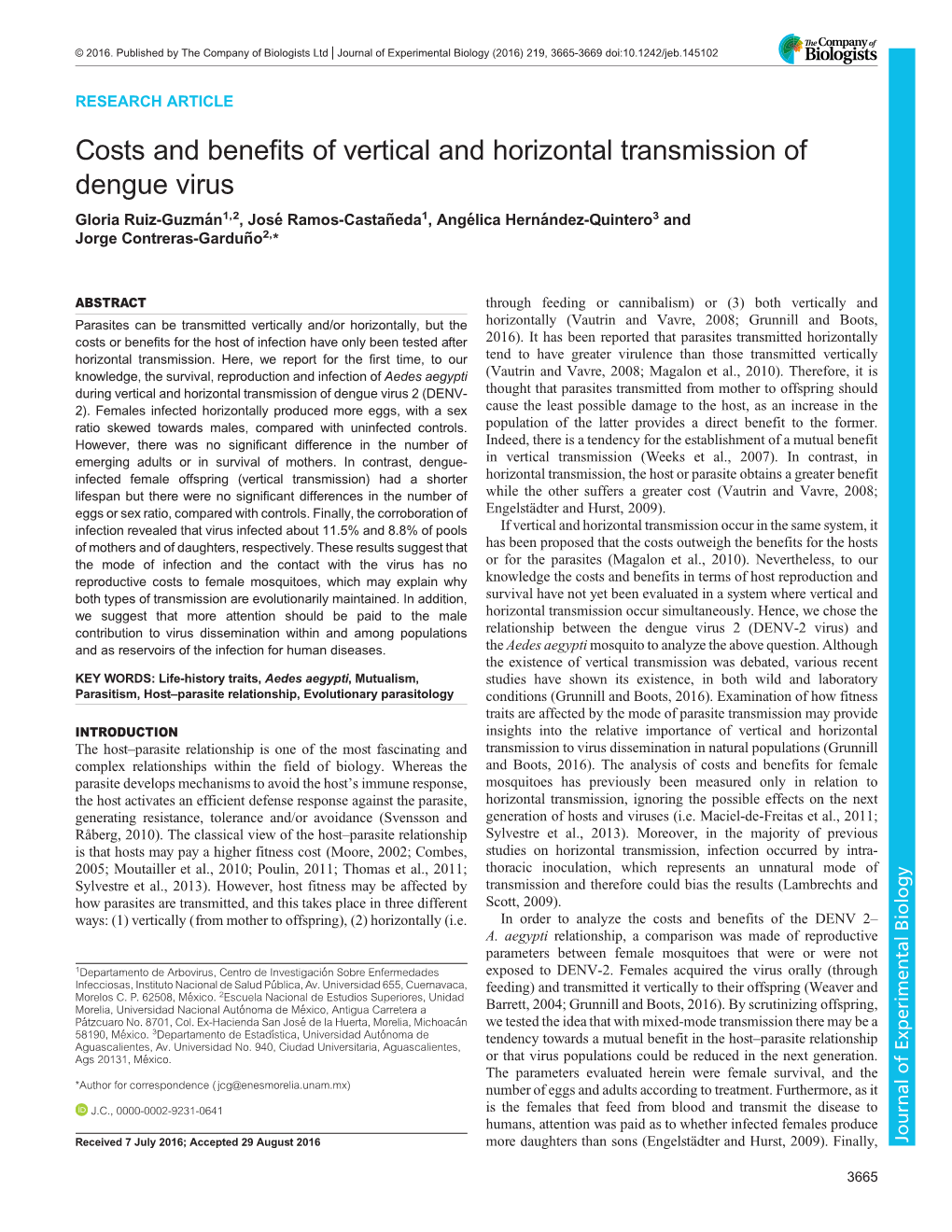 Costs and Benefits of Vertical and Horizontal Transmission of Dengue