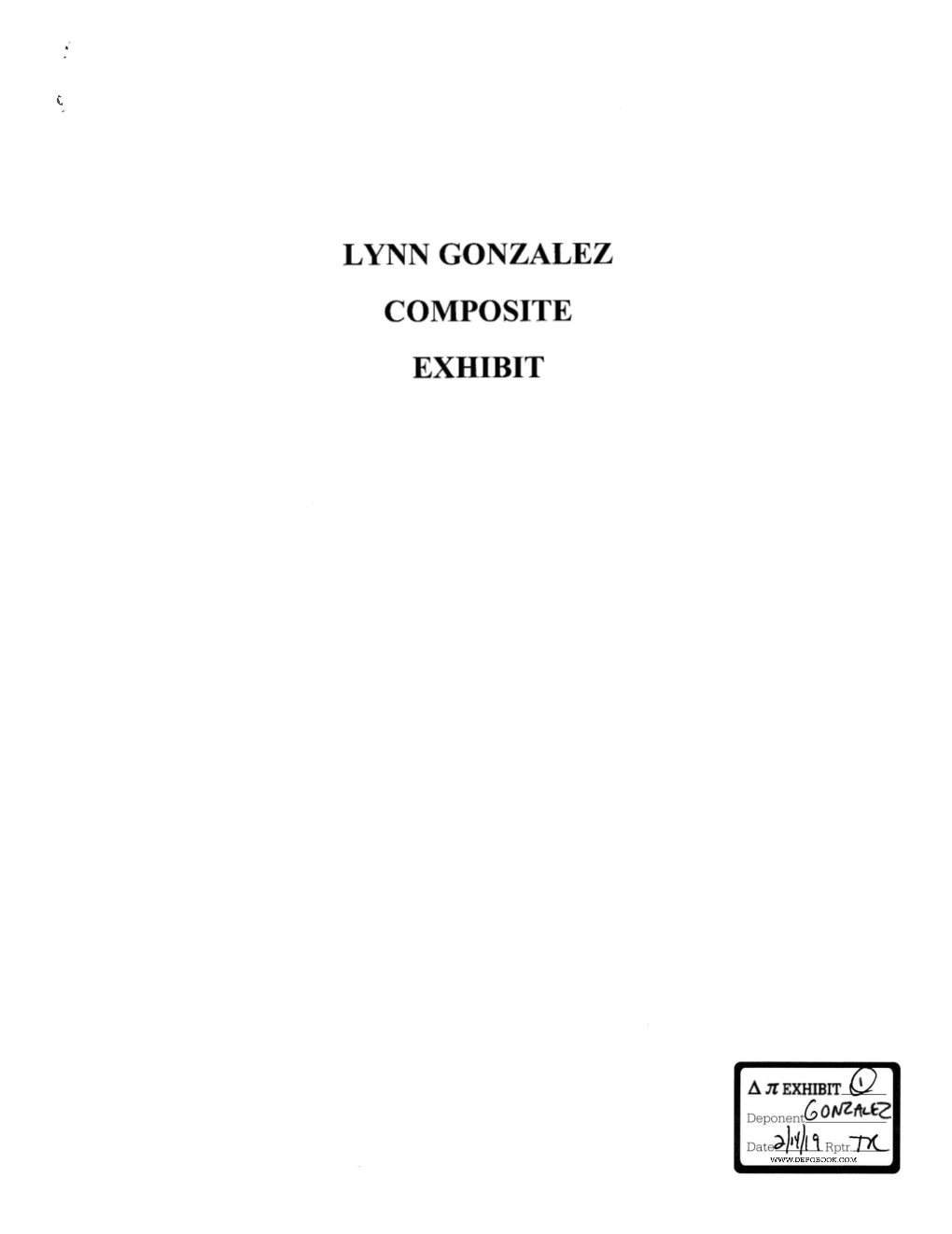 Lynn Gonzale,Z Composite Exhtbit