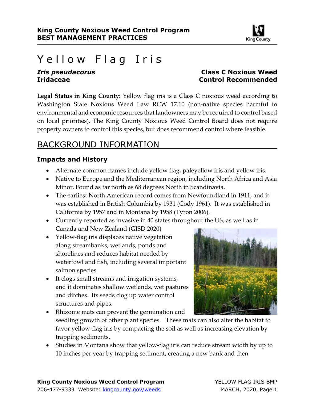 King County Best Management Practices for Yellow Flag Iris (Iris