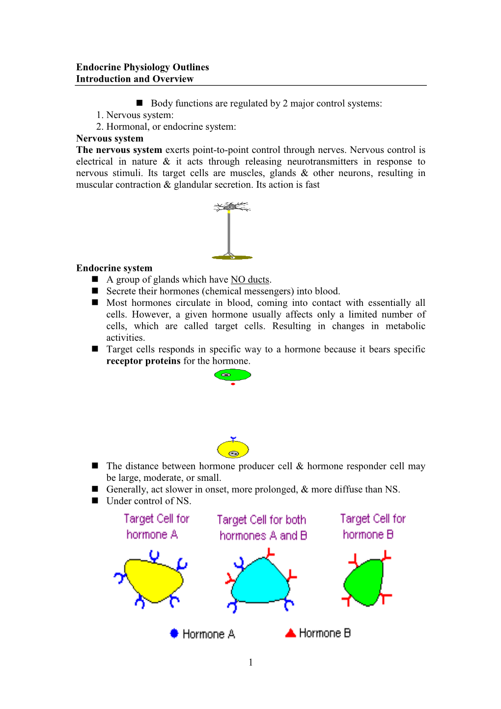 Endocrine Physiology Outlines Introduction and Overview