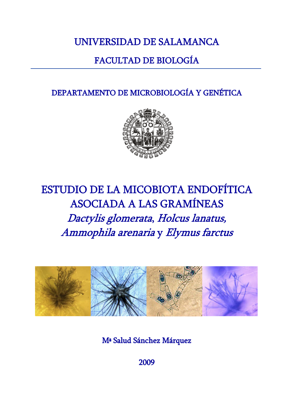 Dactylis Glomerata, Holcus Lanatus, Ammophila Arenaria Y Elymus Farctus