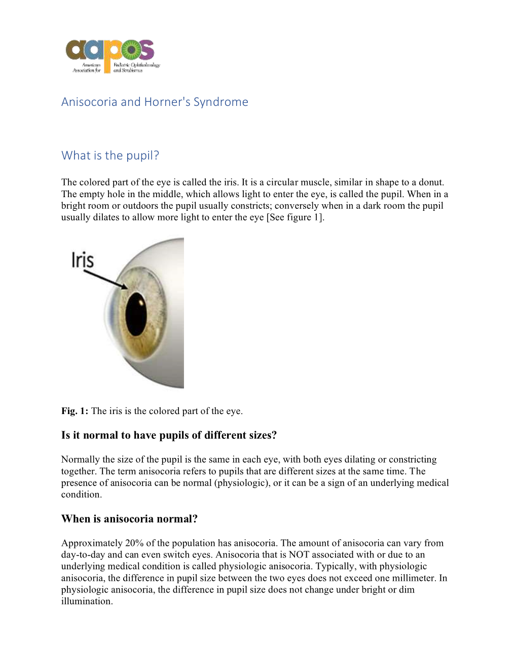 Anisocoria and Horner's Syndrome What Is the Pupil?