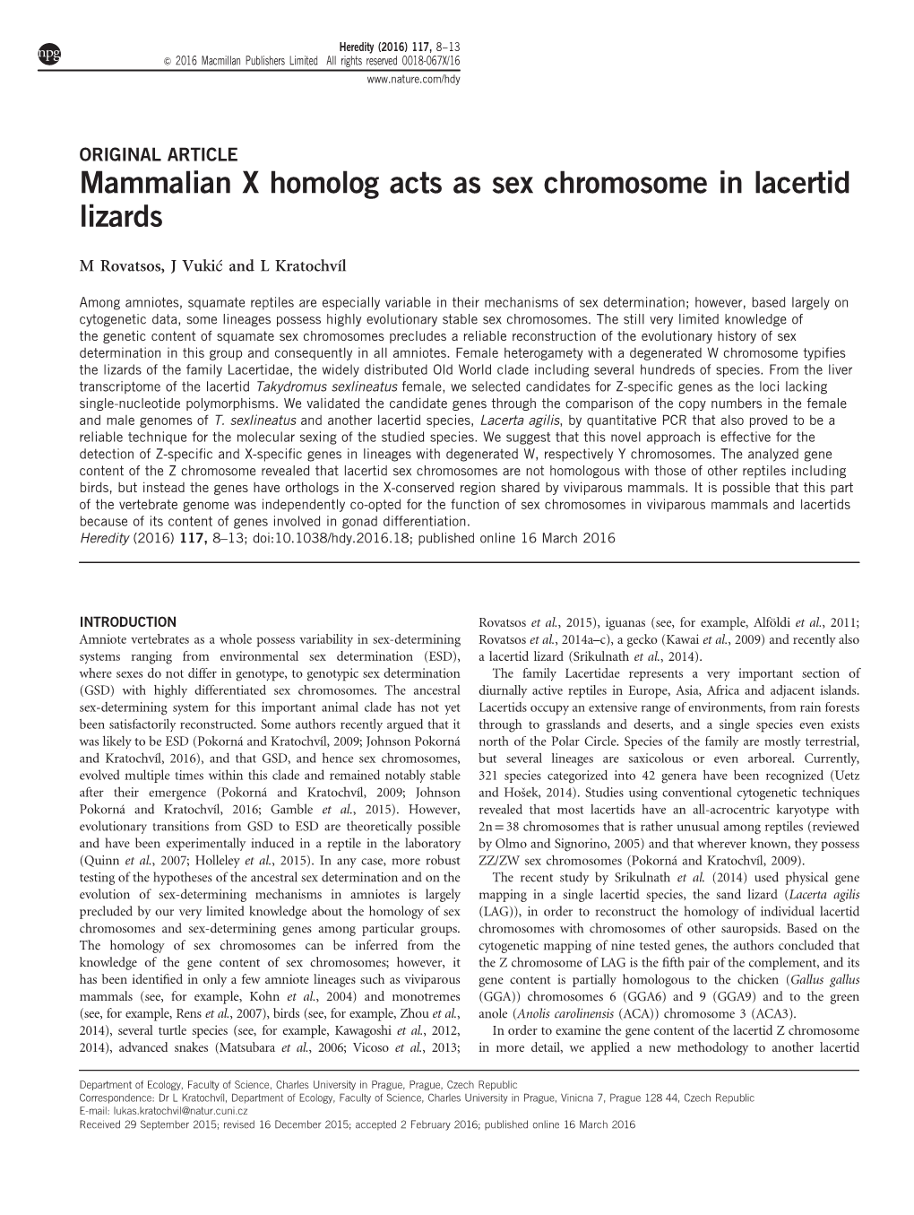 Mammalian X Homolog Acts As Sex Chromosome in Lacertid Lizards