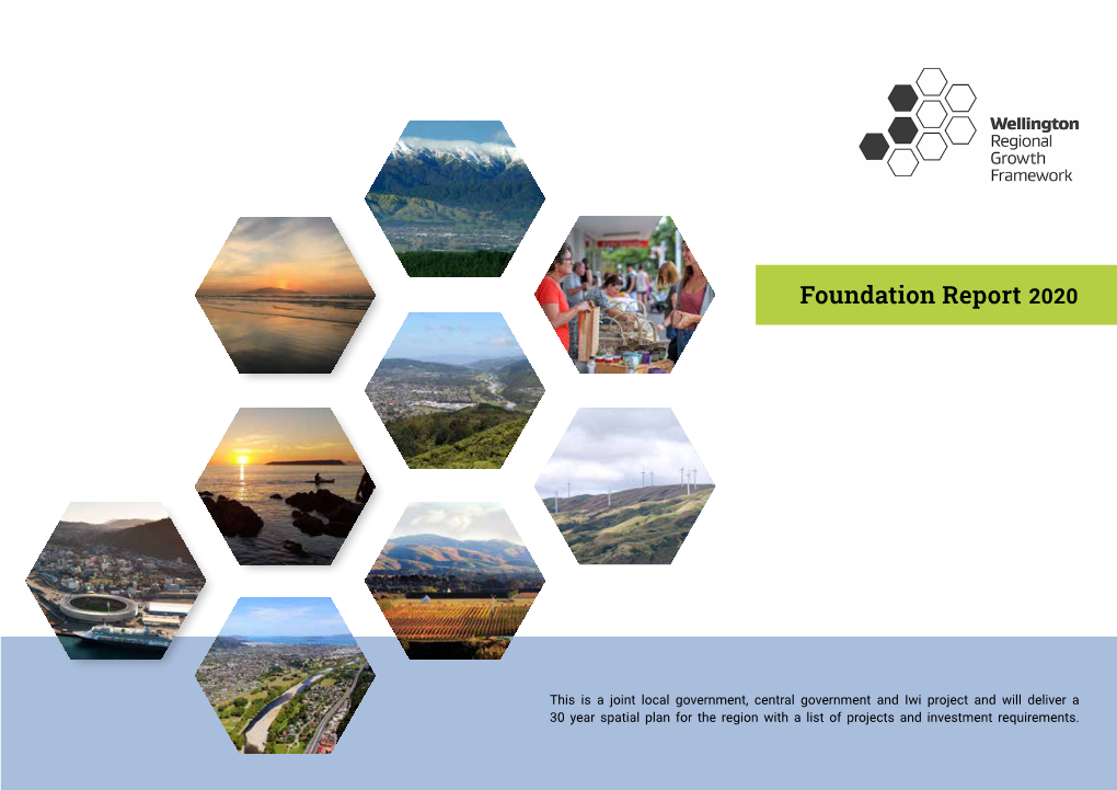 Foundation Report 2020