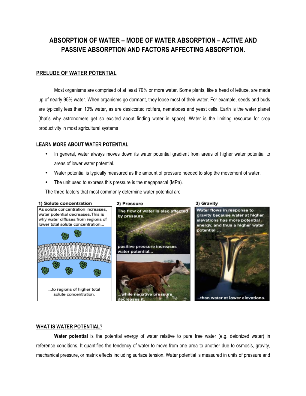 Absorption of Water – Mode of Water Absorption – Active and Passive Absorption and Factors Affecting Absorption