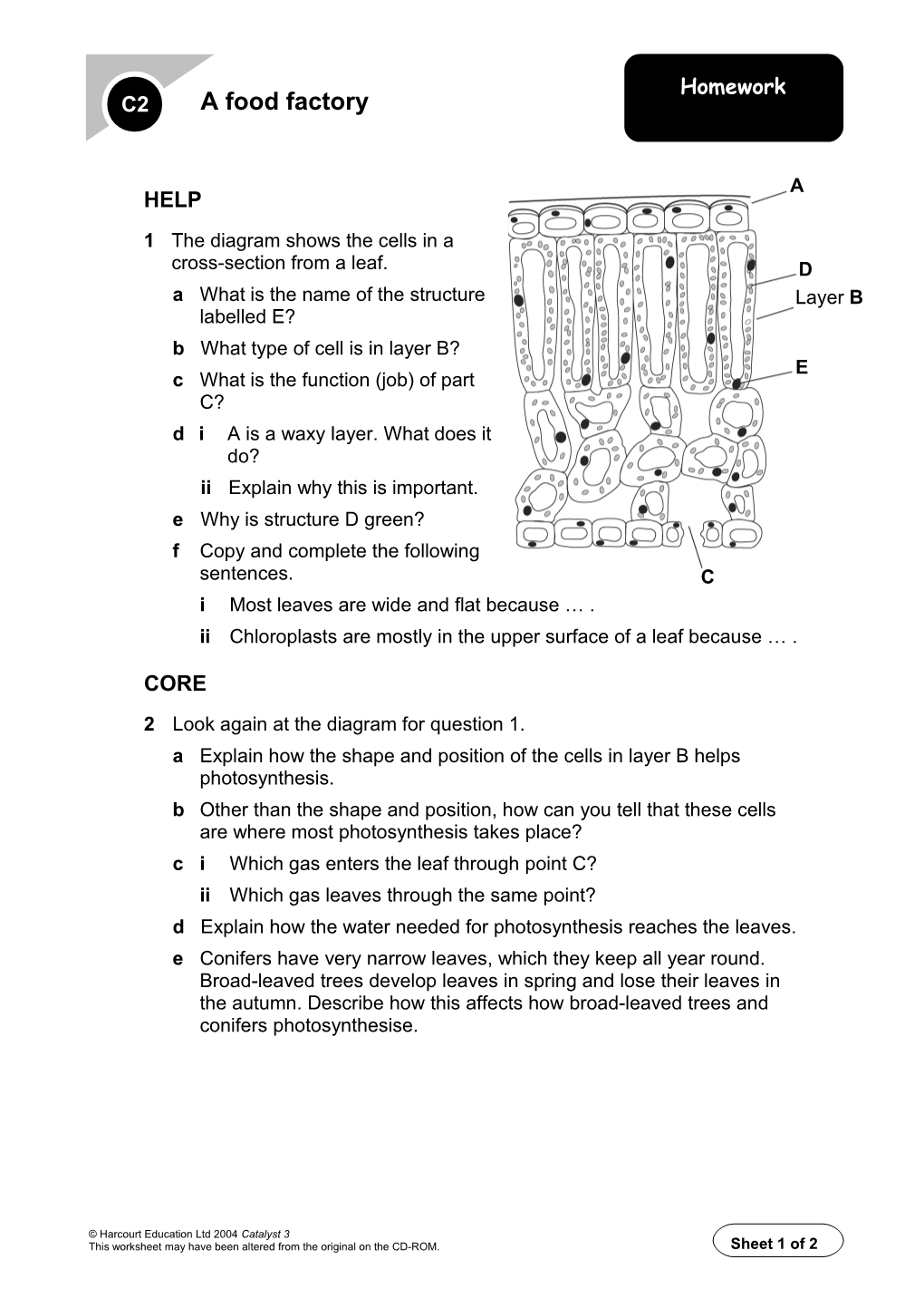 1 the Diagram Shows the Cells in a Cross-Section from a Leaf