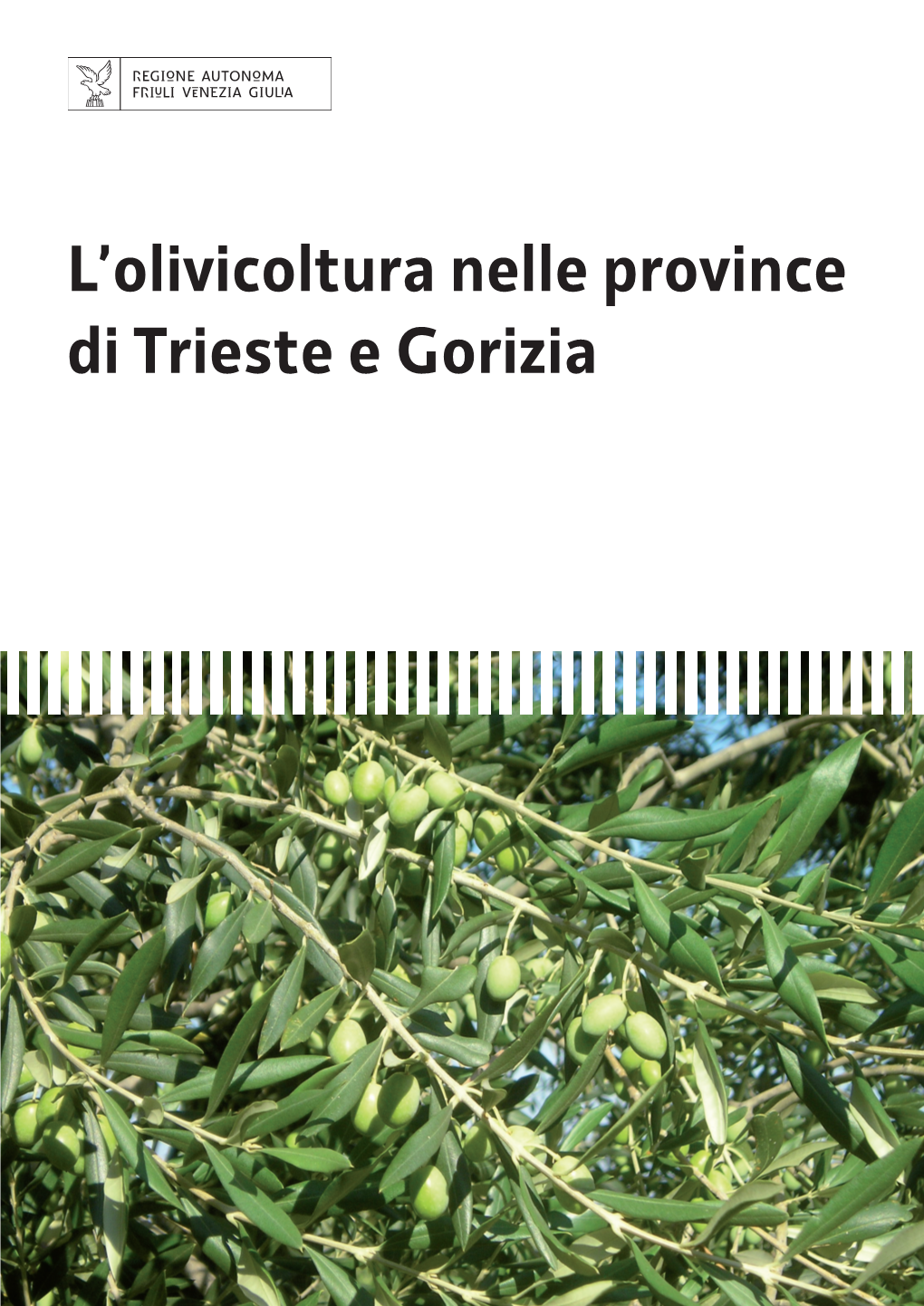 L'olivicoltura Nelle Province Di Trieste E Gorizia