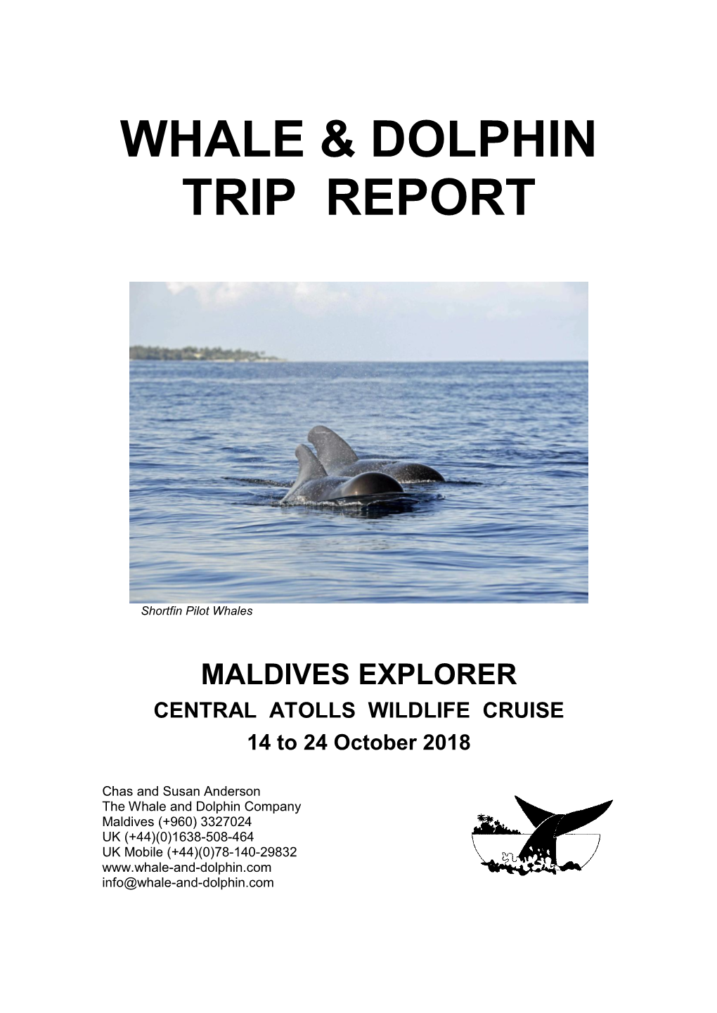 Whale & Dolphin Trip Report
