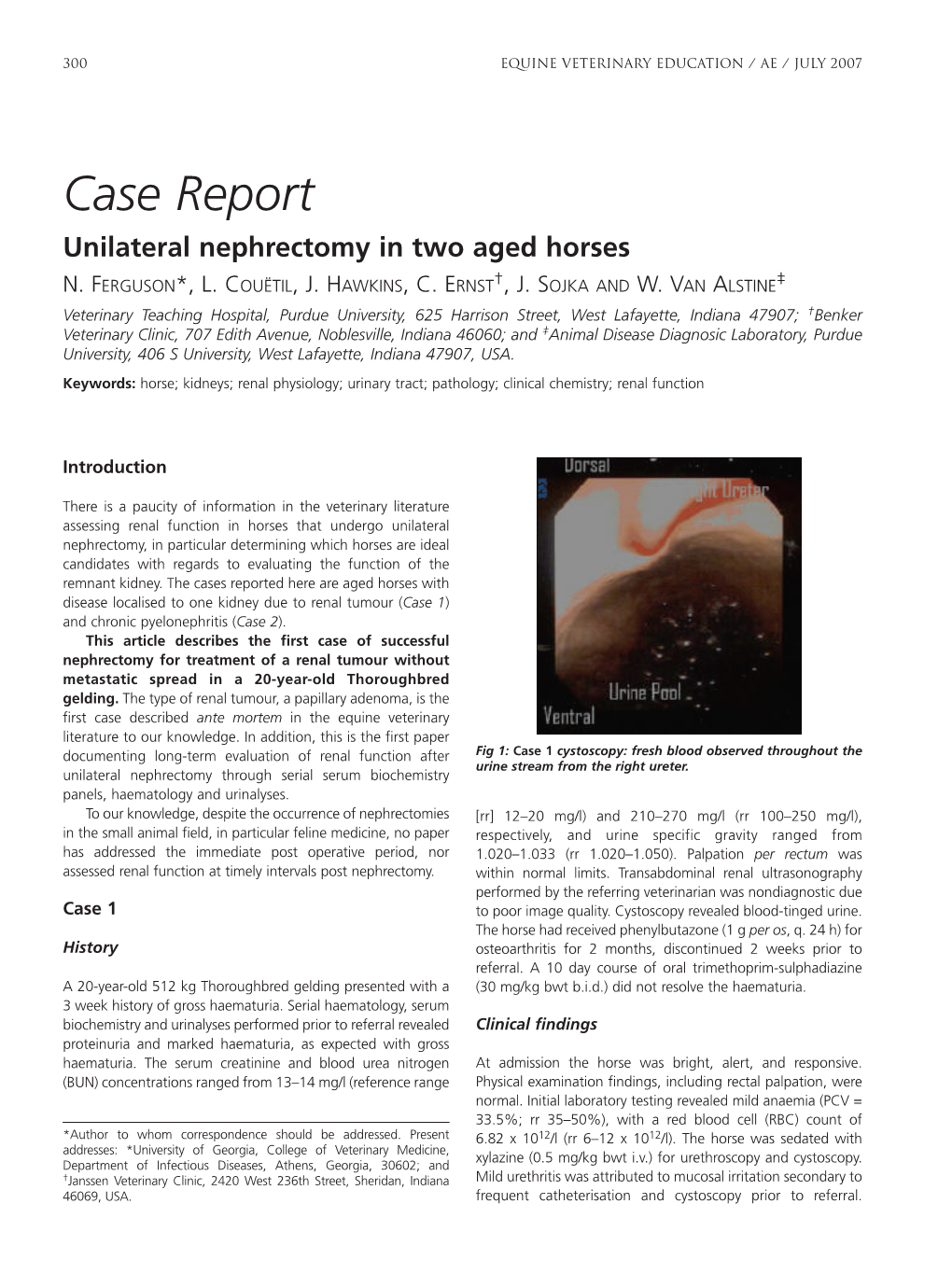 Case Report Unilateral Nephrectomy in Two Aged Horses N