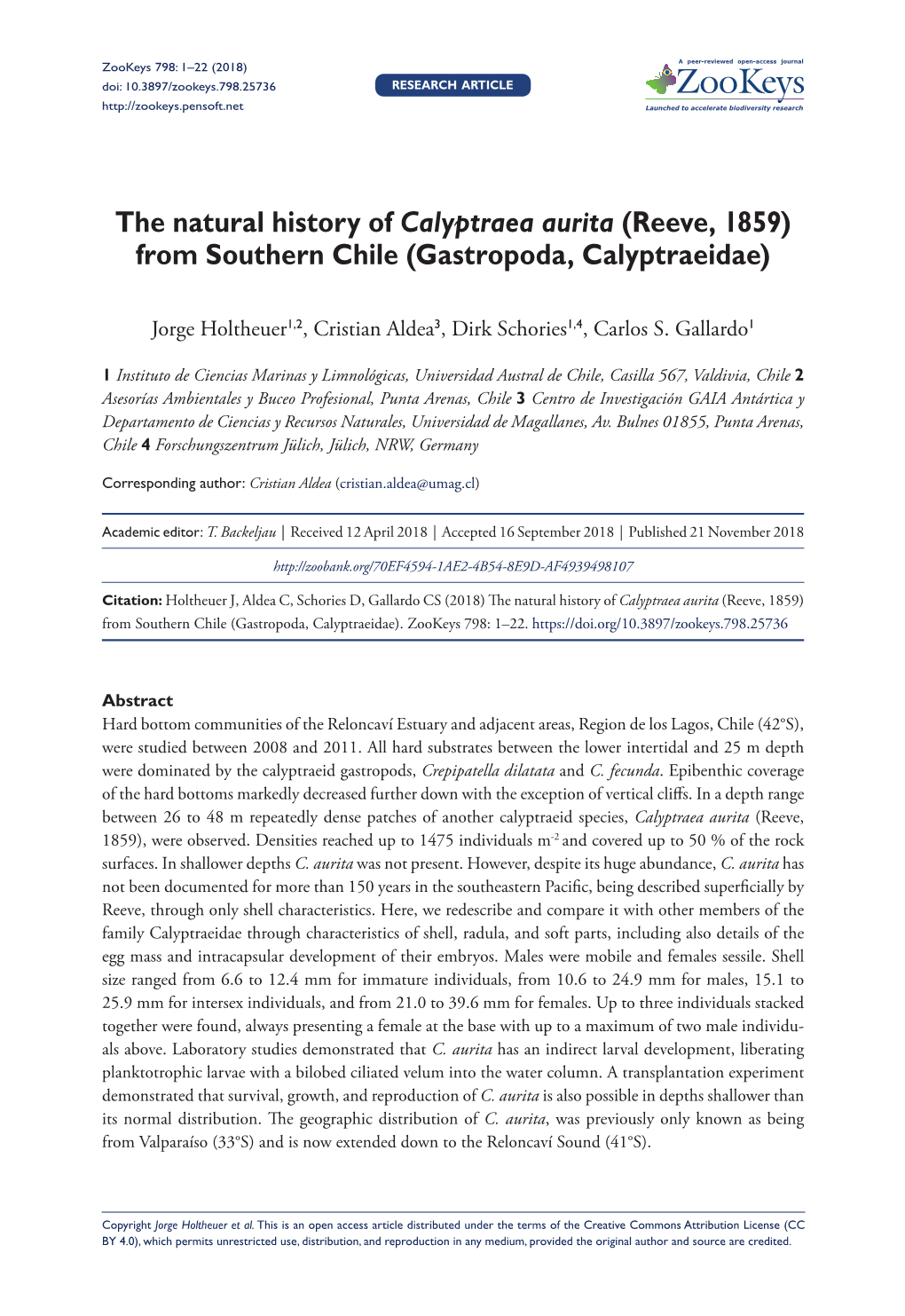 The Natural History of Calyptraea Aurita (Reeve, 1859) from Southern Chile (Gastropoda, Calyptraeidae)