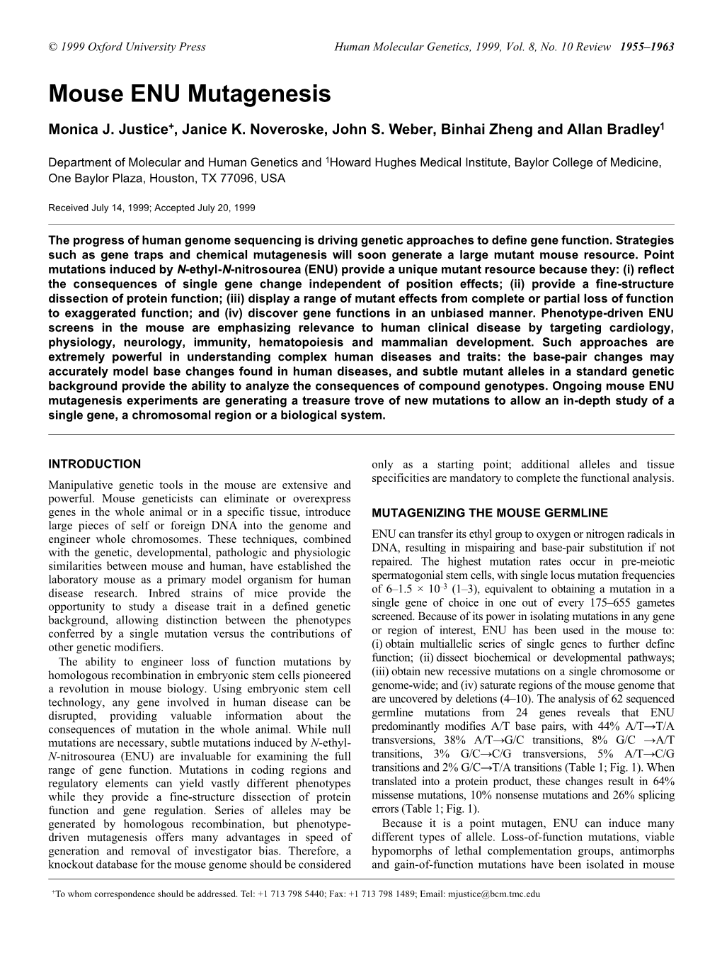 Mouse ENU Mutagenesis