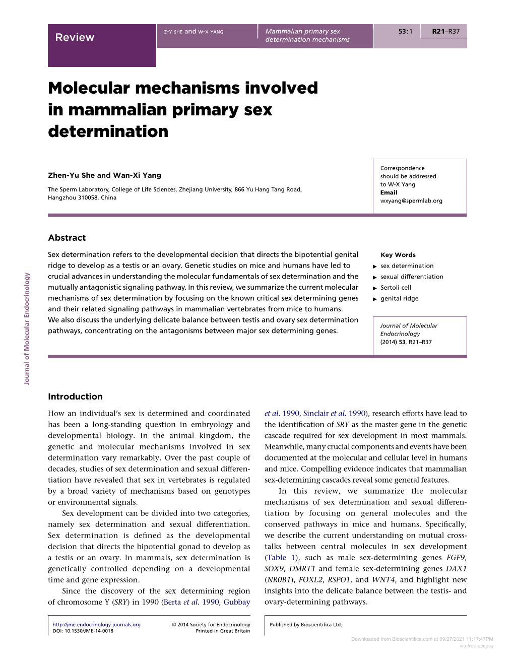 Molecular Mechanisms Involved in Mammalian Primary Sex Determination