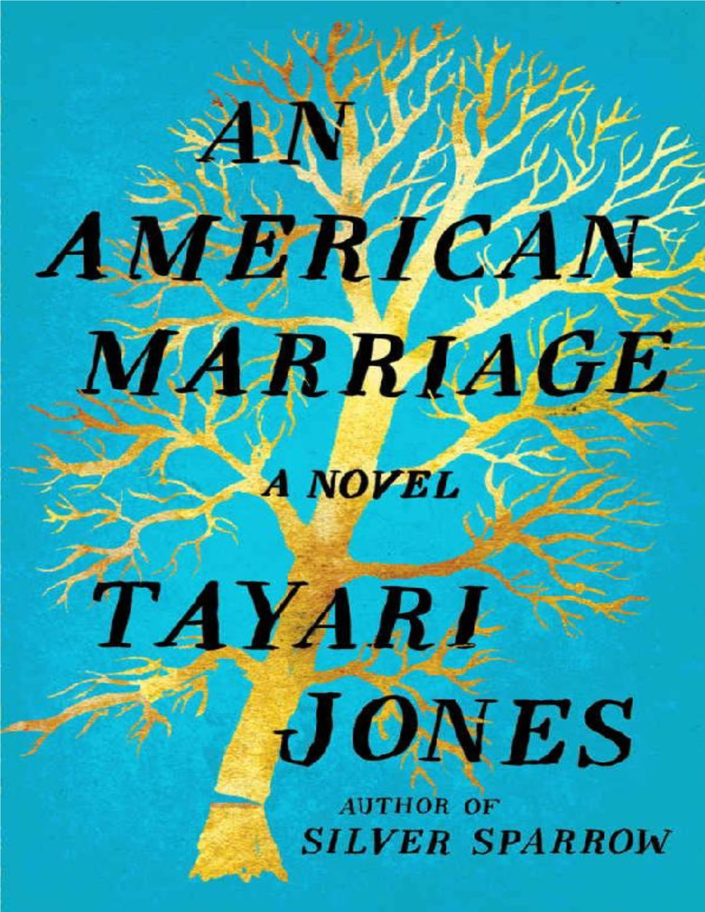 An American Marriage: a Novel