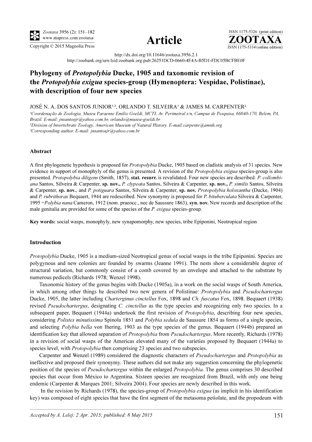 Phylogeny of Protopolybia Ducke, 1905 and Taxonomic Revision of the Protopolybia Exigua Species-Group (Hymenoptera: Vespidae, Po