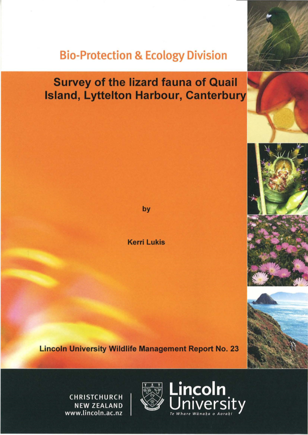 Survey of the Lizard Fauna of Quail Island, Lyttelton Harbour, Canterbury