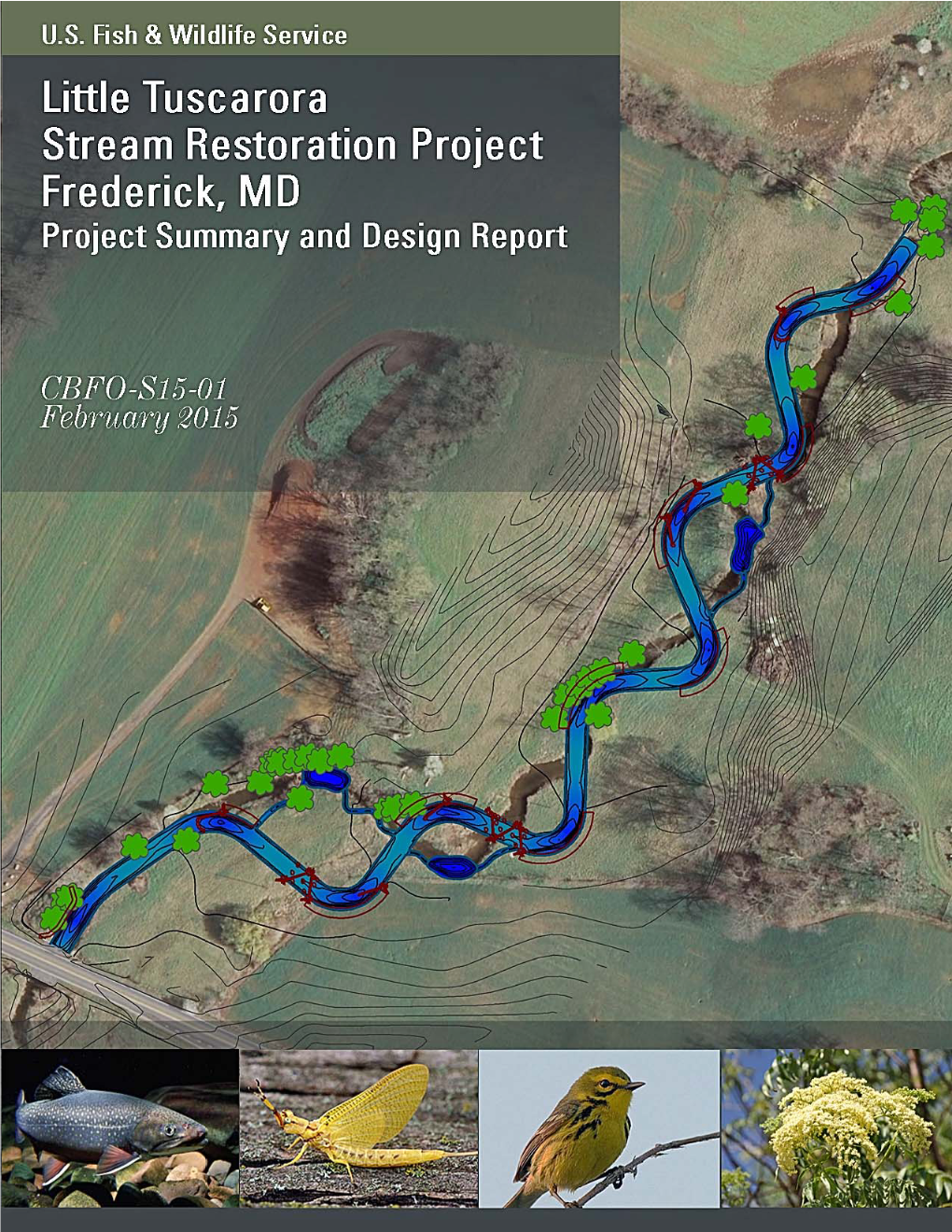 Little Tuscarora Creek Restoration, Frederick County, Maryland: Function-Based Project Summary and Design Report
