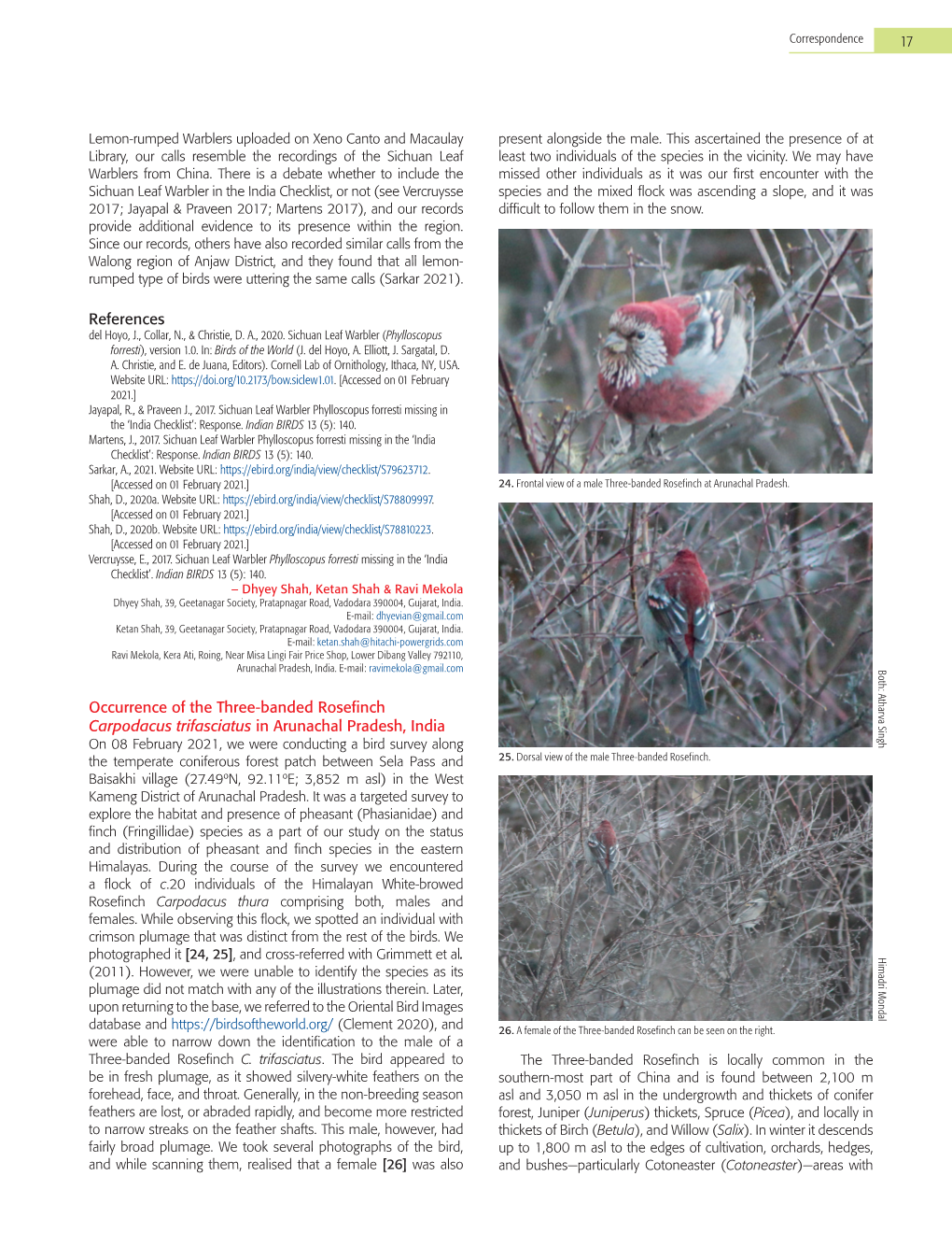 References Occurrence of the Three-Banded Rosefinch Carpodacus Trifasciatus in Arunachal Pradesh, India 17