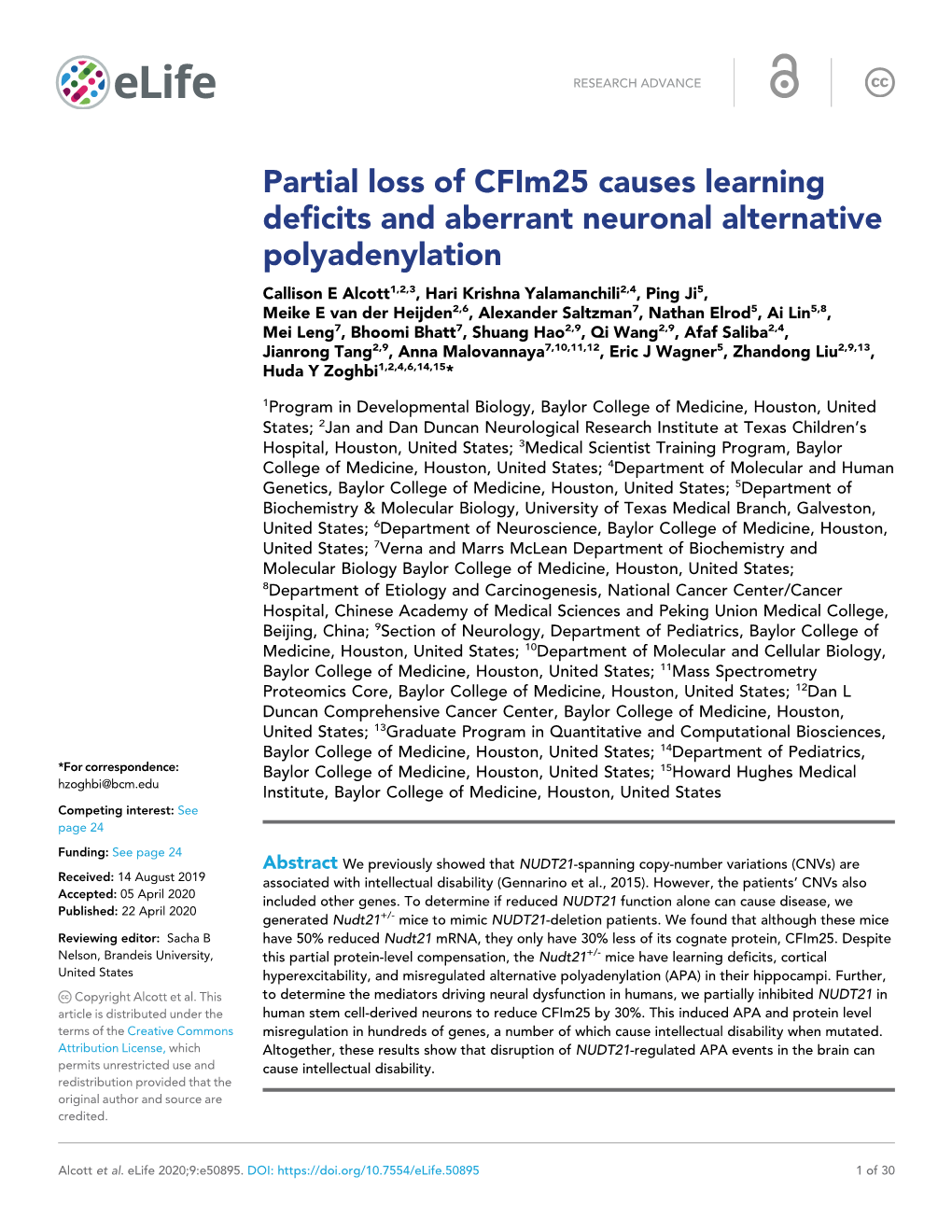 Partial Loss of Cfim25 Causes Learning Deficits and Aberrant Neuronal