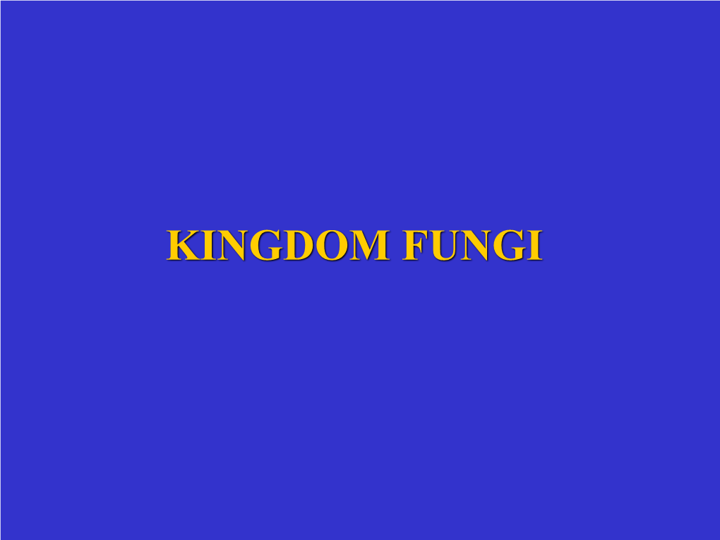 Kingdom Fungi the Fungi