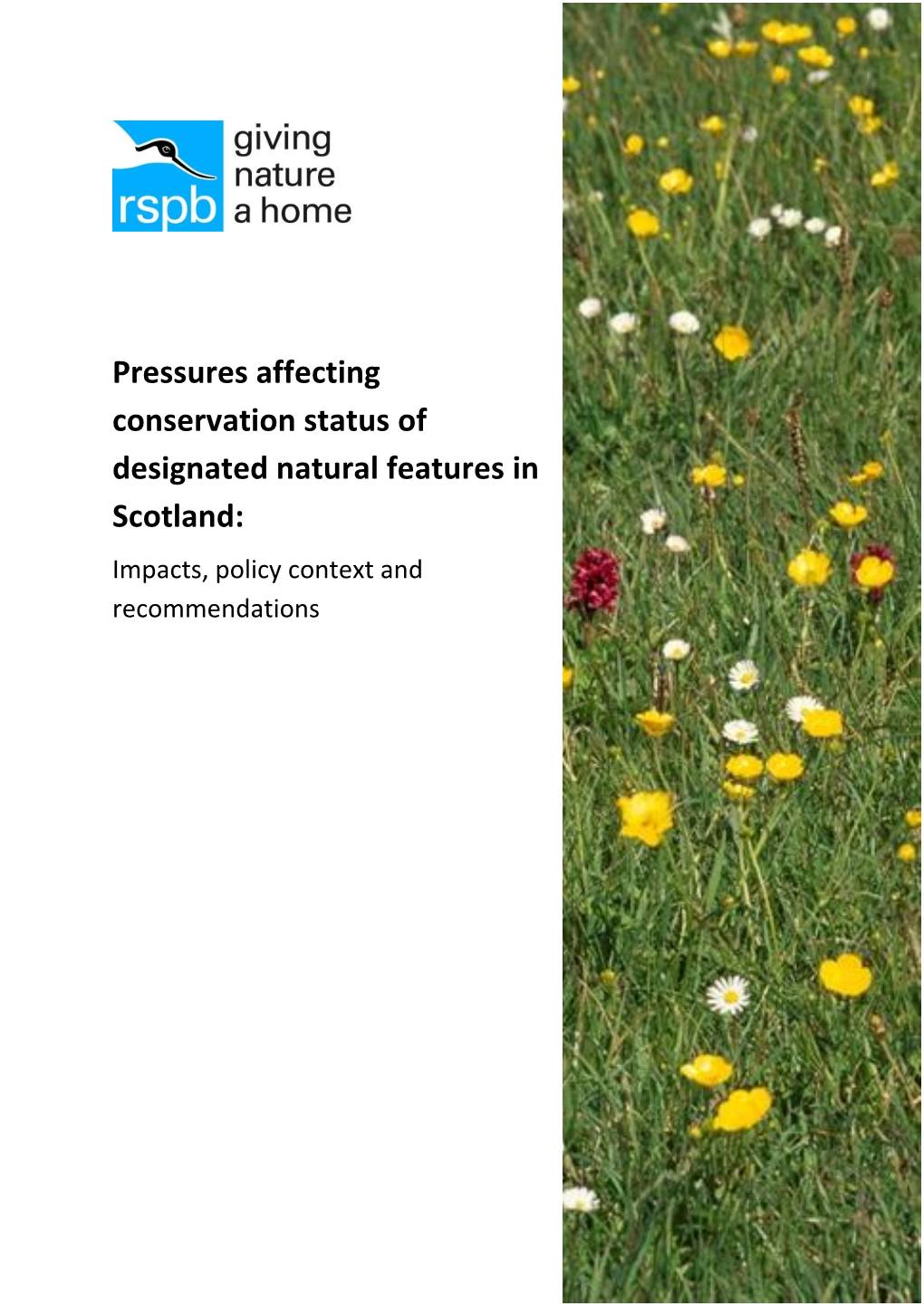 Pressures Affecting Conservation Status of Designated Natural Features in Scotland: Impacts, Policy Context and Recommendations