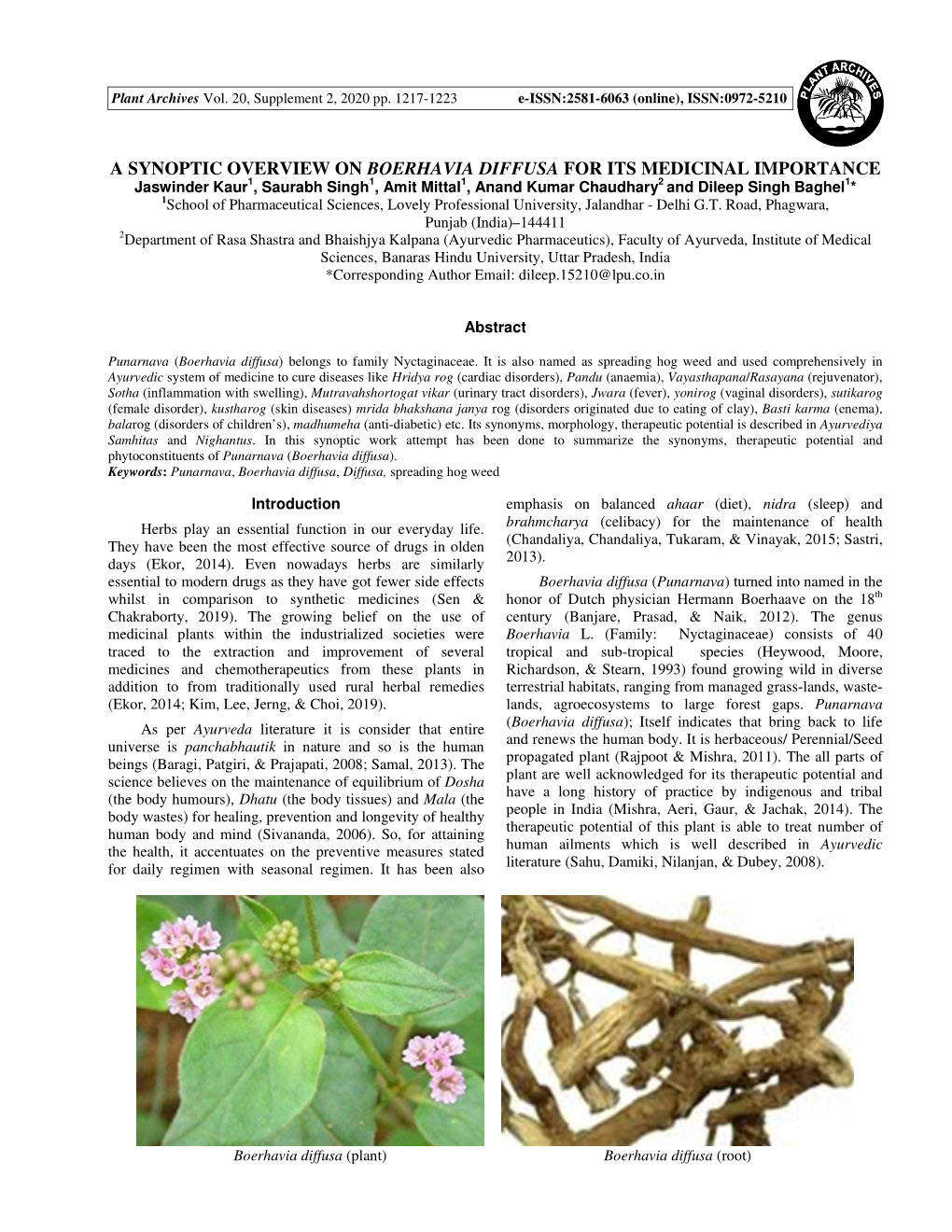A Synoptic Overview on Boerhavia Diffusa for Its