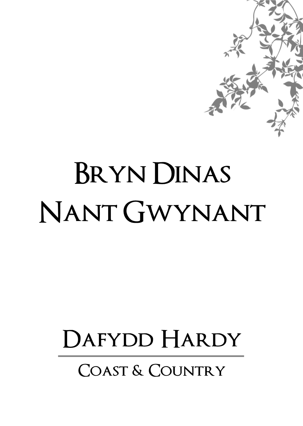 Bryn Dinas Nant Gwynant