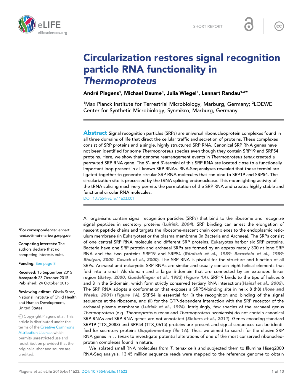 Circularization Restores Signal Recognition Particle RNA Functionality in Thermoproteus Andre´ Plagens1, Michael Daume1, Julia Wiegel1, Lennart Randau1,2*