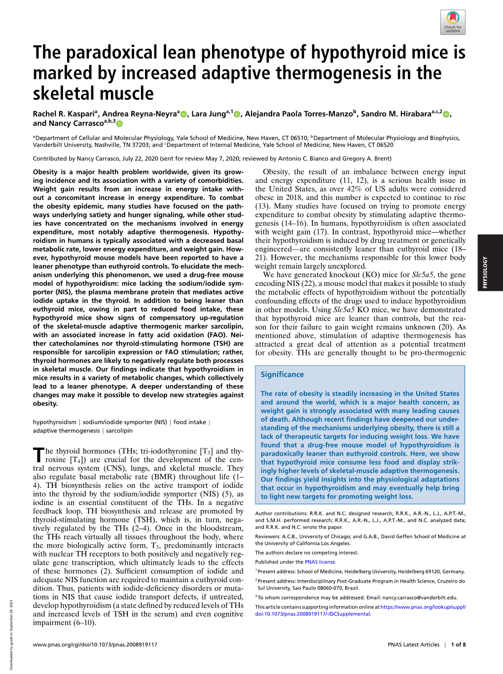 The Paradoxical Lean Phenotype of Hypothyroid Mice Is Marked by Increased Adaptive Thermogenesis in the Skeletal Muscle