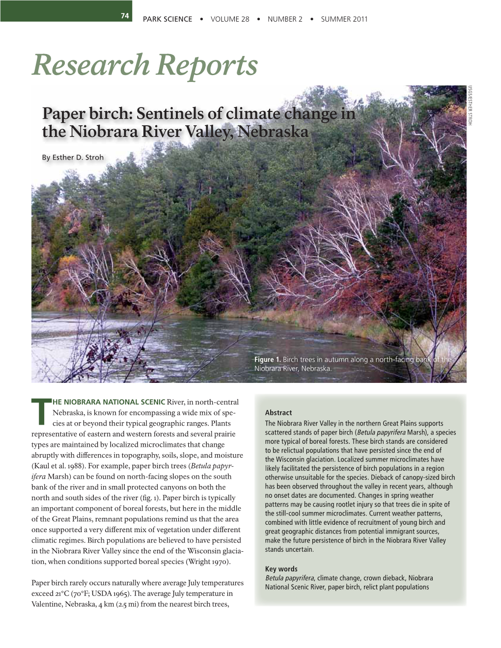 Research Report: Paper Birch: Sentinels of Climate Change in The