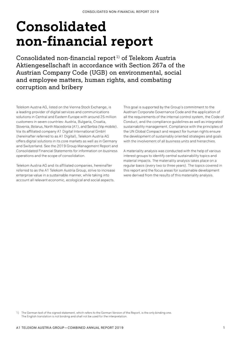 Consolidated Non Financial Report 2019