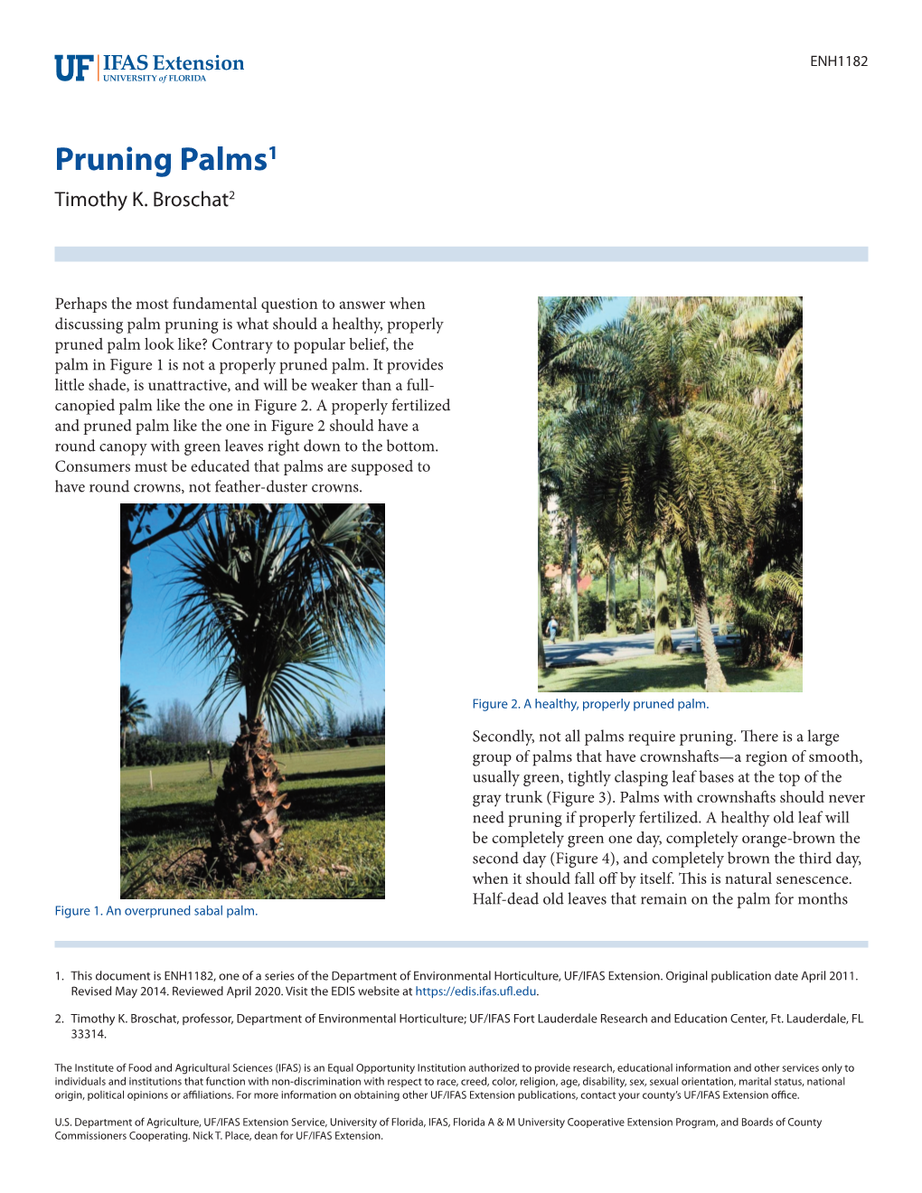 Pruning Palms1 Timothy K