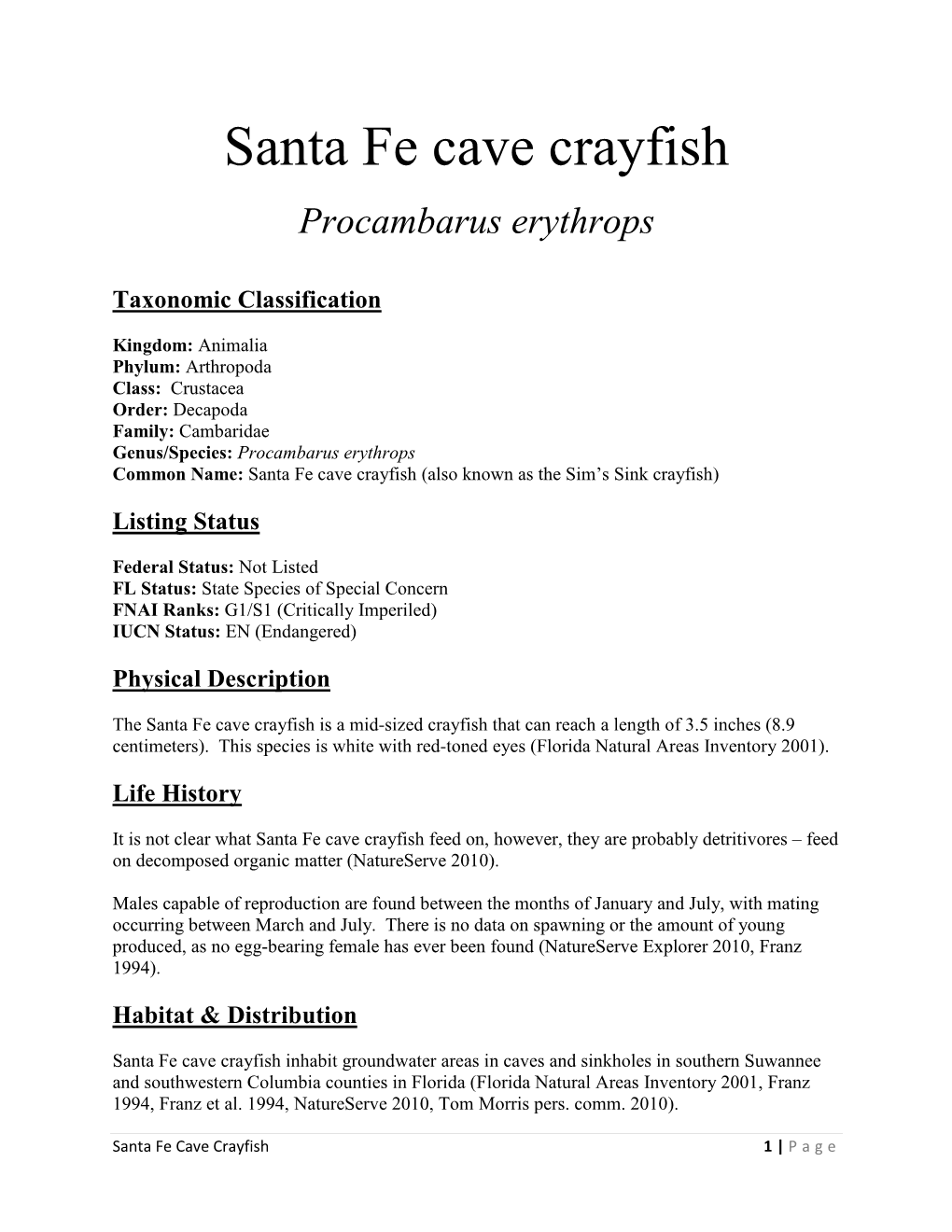 Santa Fe Cave Crayfish