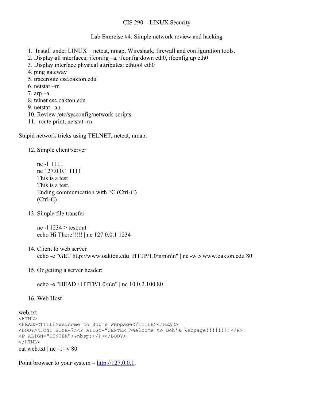 Lab Exercise #4: Simple Network Review and Hacking