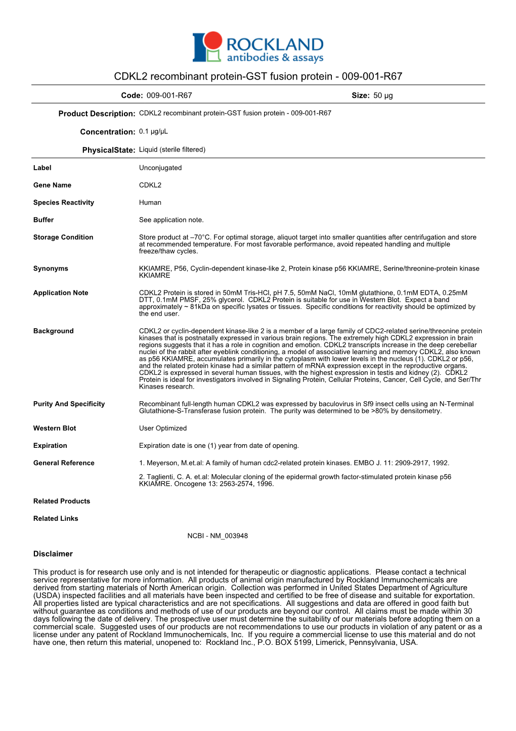 CDKL2 Recombinant Protein-GST Fusion Protein - 009-001-R67