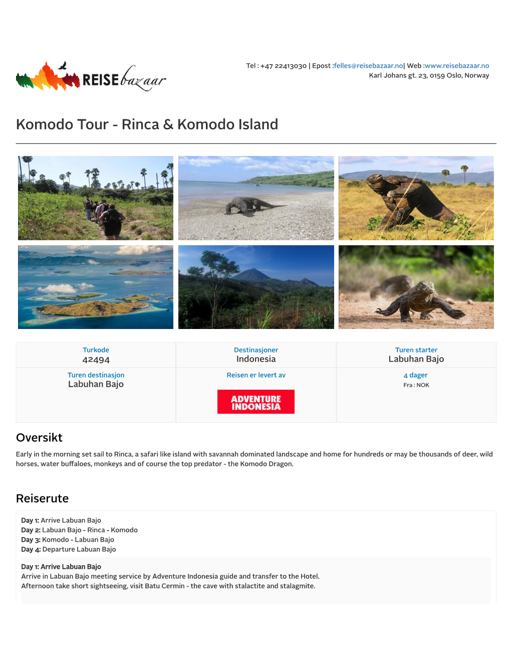 Komodo Tour - Rinca & Komodo Island