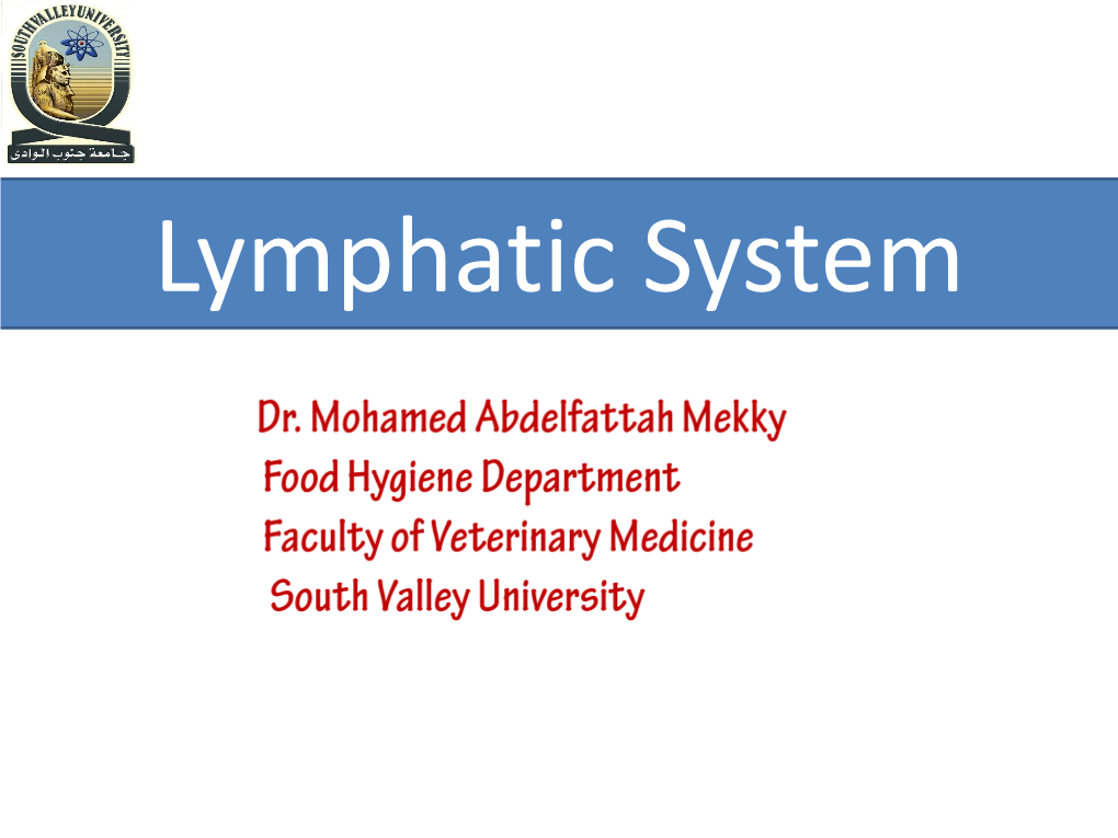 Prepectoral Lymph Node)