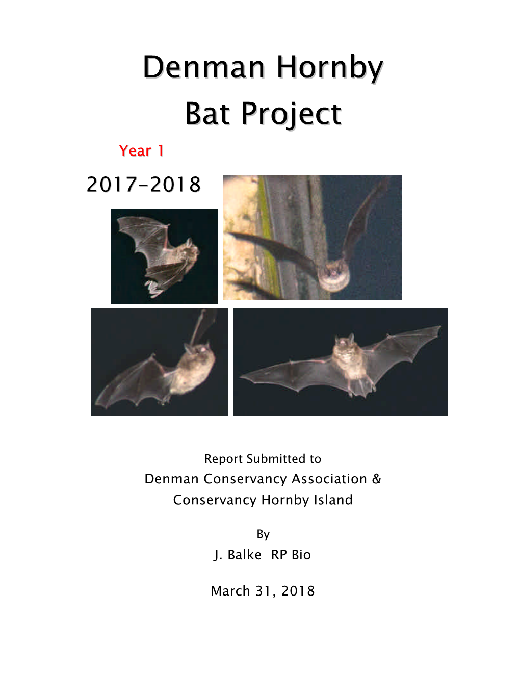 Denman Hornby Bat Project