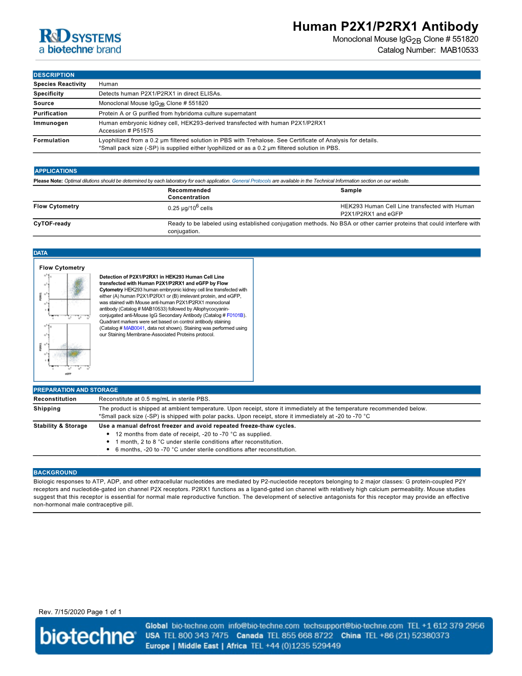 Human P2X1/P2RX1 Antibody