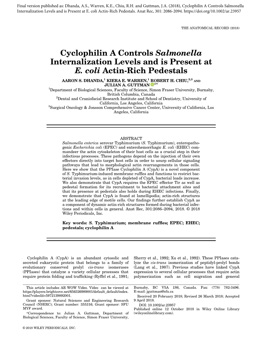 Cyclophilin a Controls Salmonella Internalization Levels and Is Present at E. Coli Actin‐Rich Pedestals