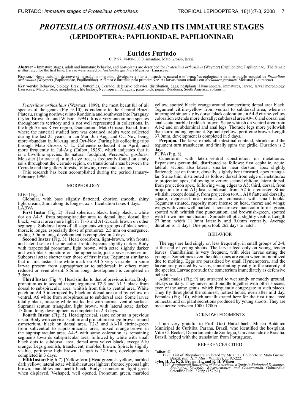 Protesilaus Orthosilaus and Its Immature Stages (Lepidoptera: Papilionidae, Papilioninae)