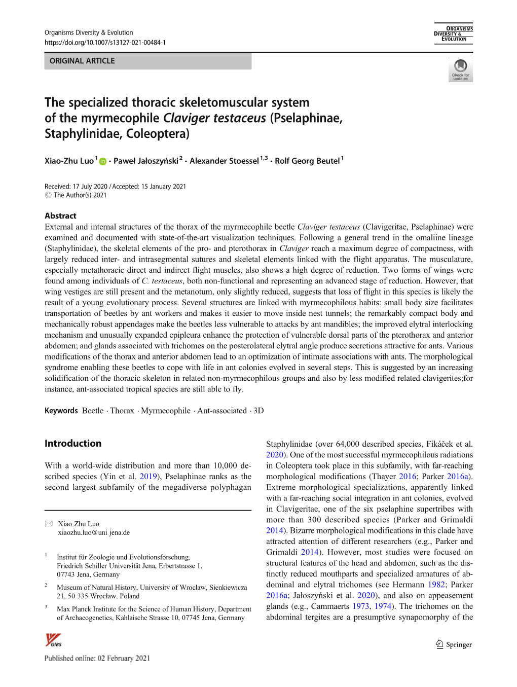 The Specialized Thoracic Skeletomuscular System of the Myrmecophile Claviger Testaceus (Pselaphinae, Staphylinidae, Coleoptera)