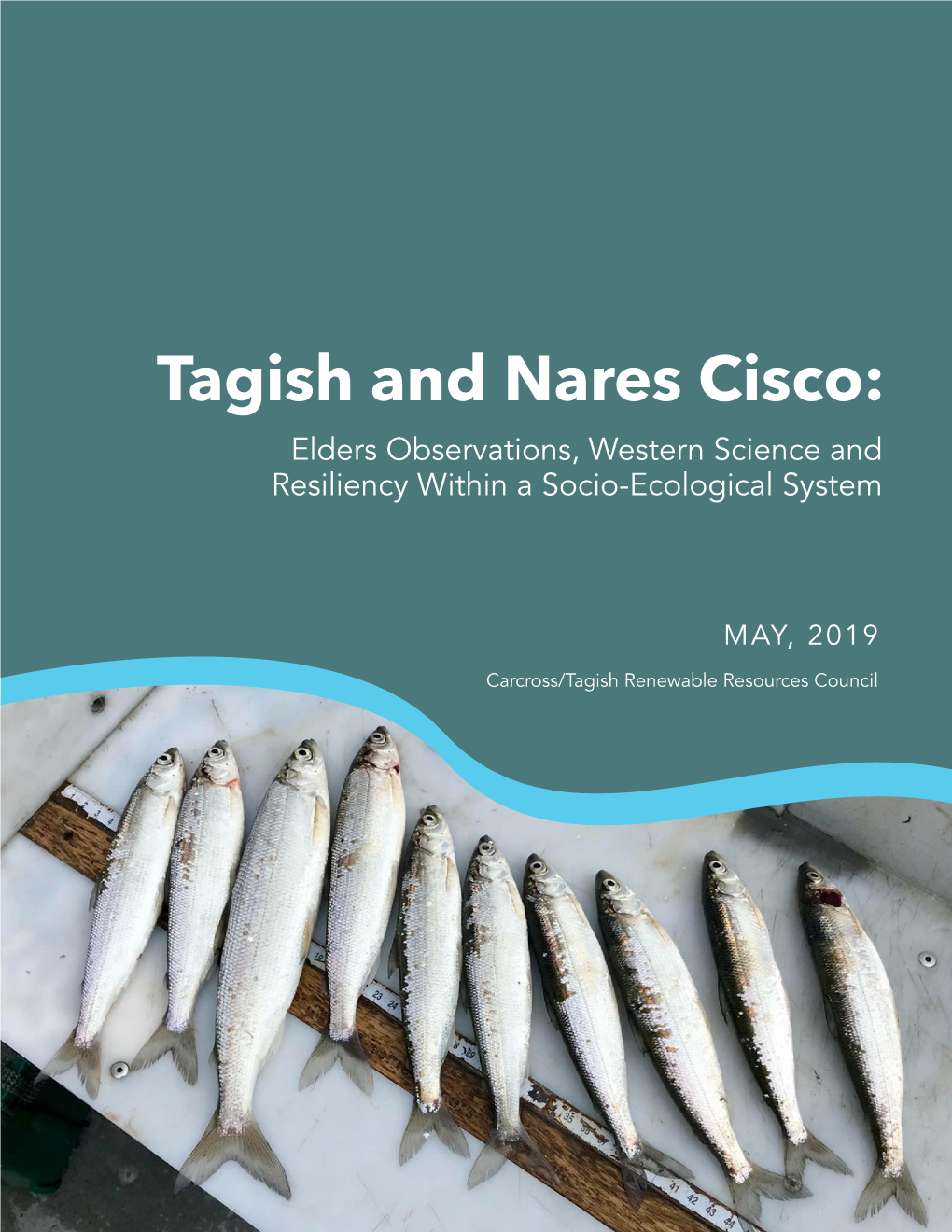 Tagish and Nares Cisco: Elders Observations, Western Science and Resiliency Within a Socio-Ecological System