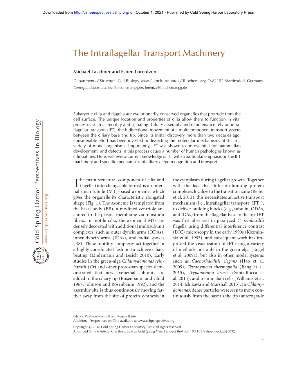 The Intraflagellar Transport Machinery