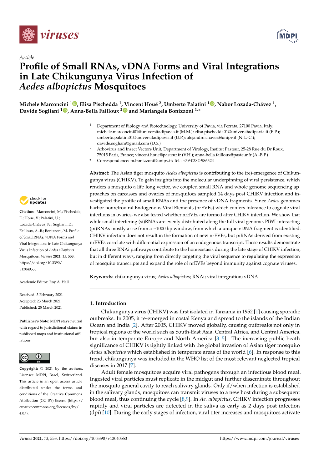 Profile of Small Rnas, Vdna Forms and Viral Integrations in Late