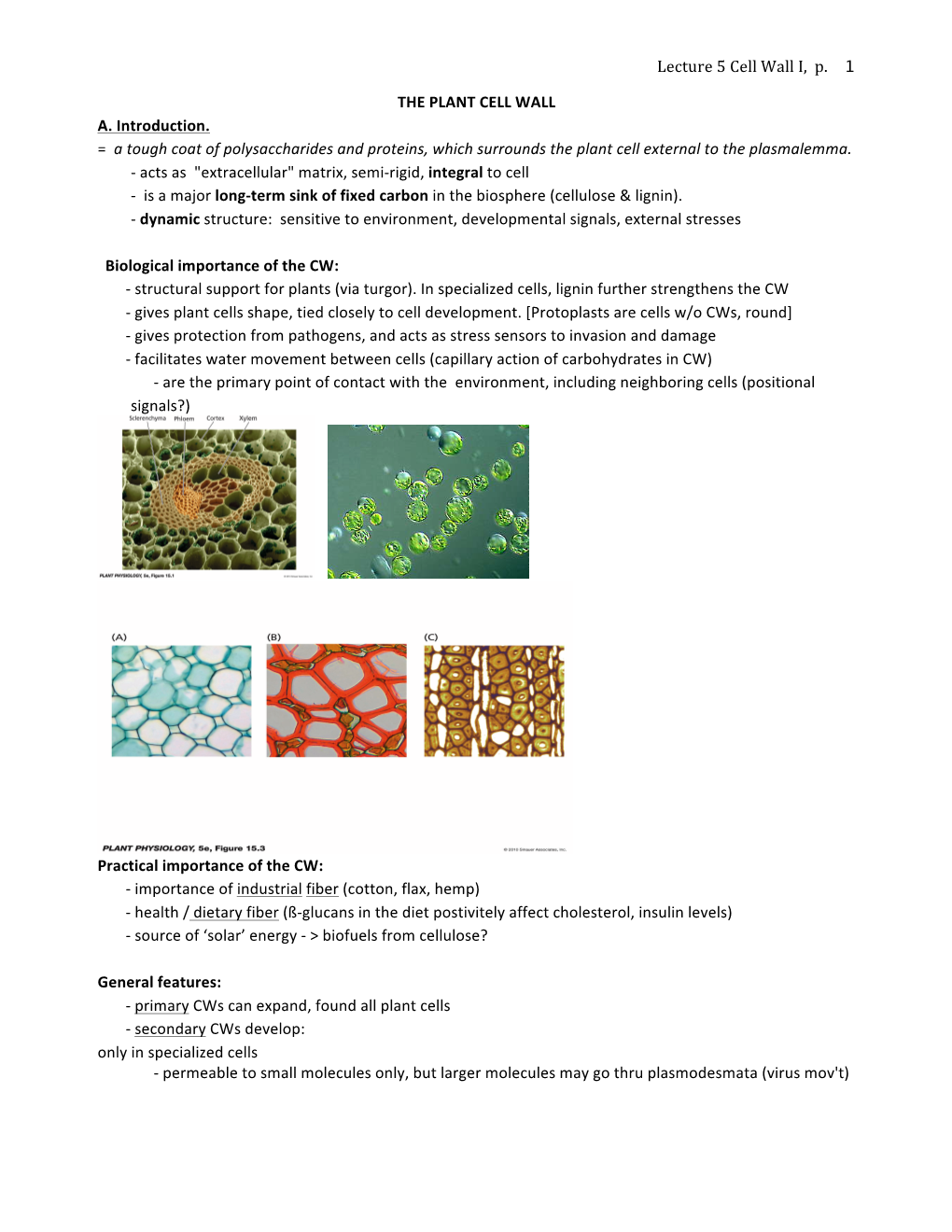 Lecture 5 Cell Wall I, P. 1