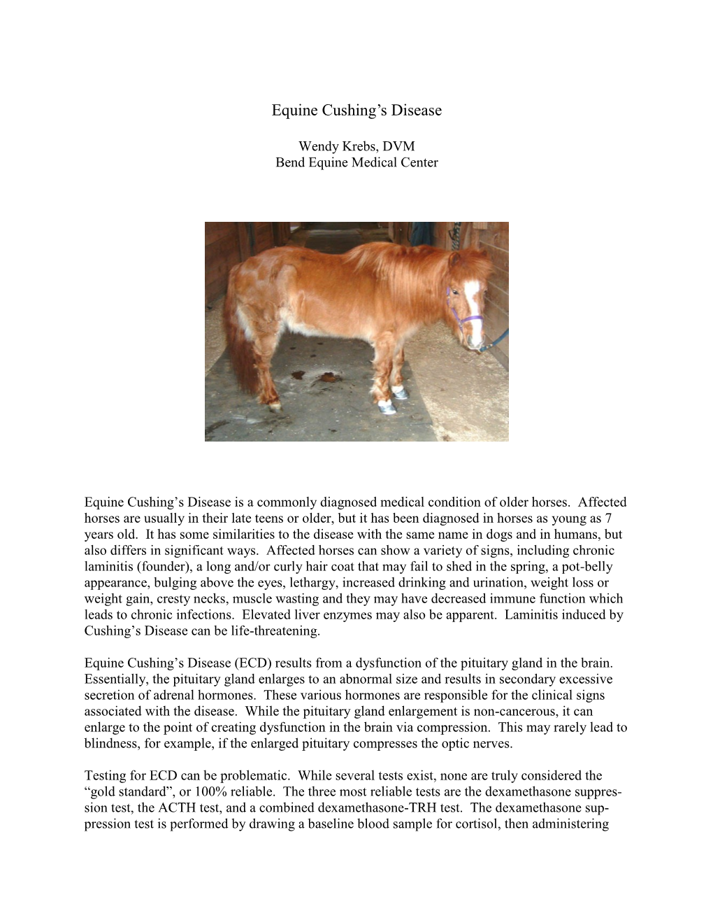 Equine Cushing's Disease