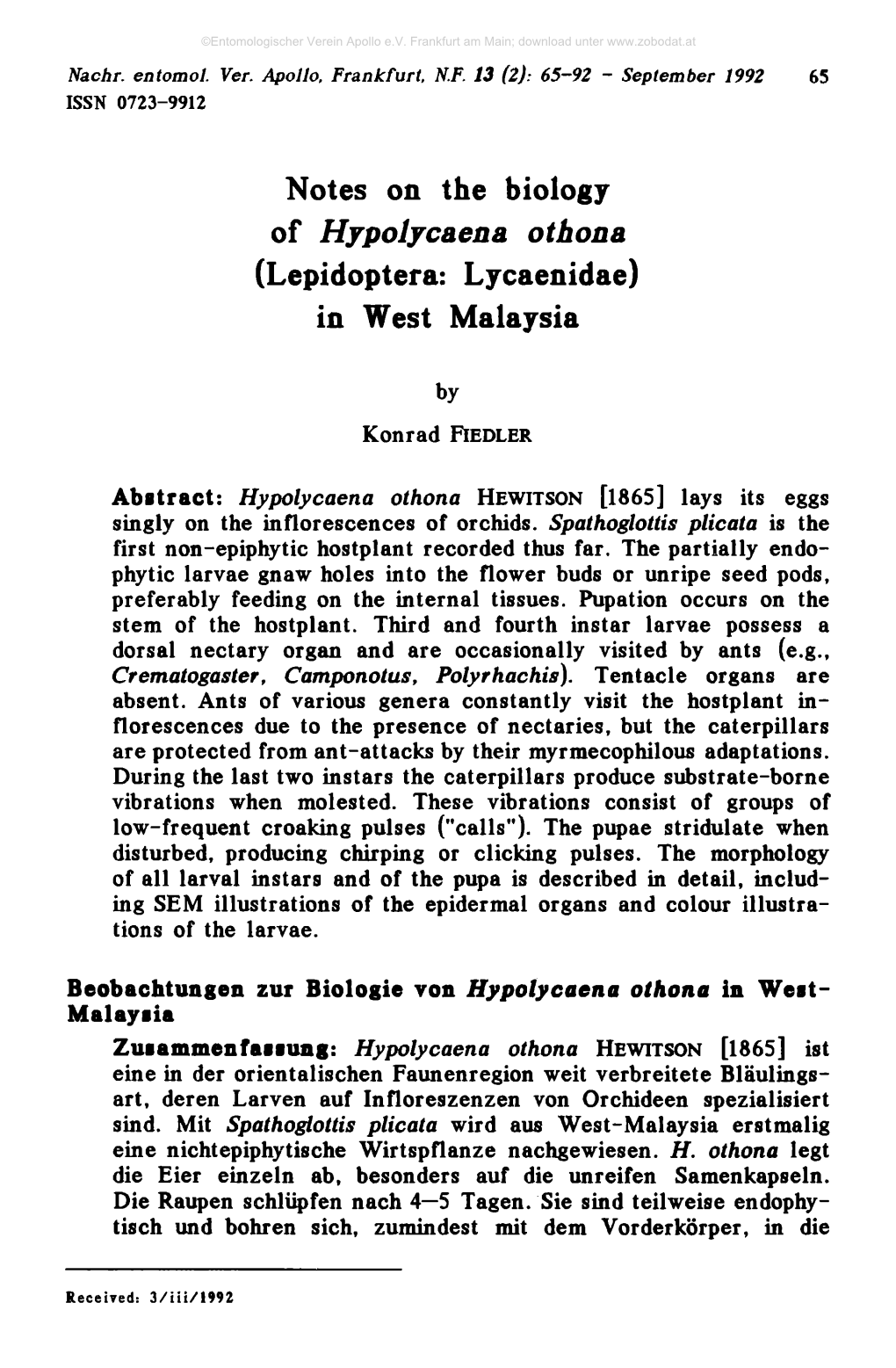 Notes on the Biology of Hypolycaena Othona (Lepidoptera: Lycaenidae) in West Malaysia