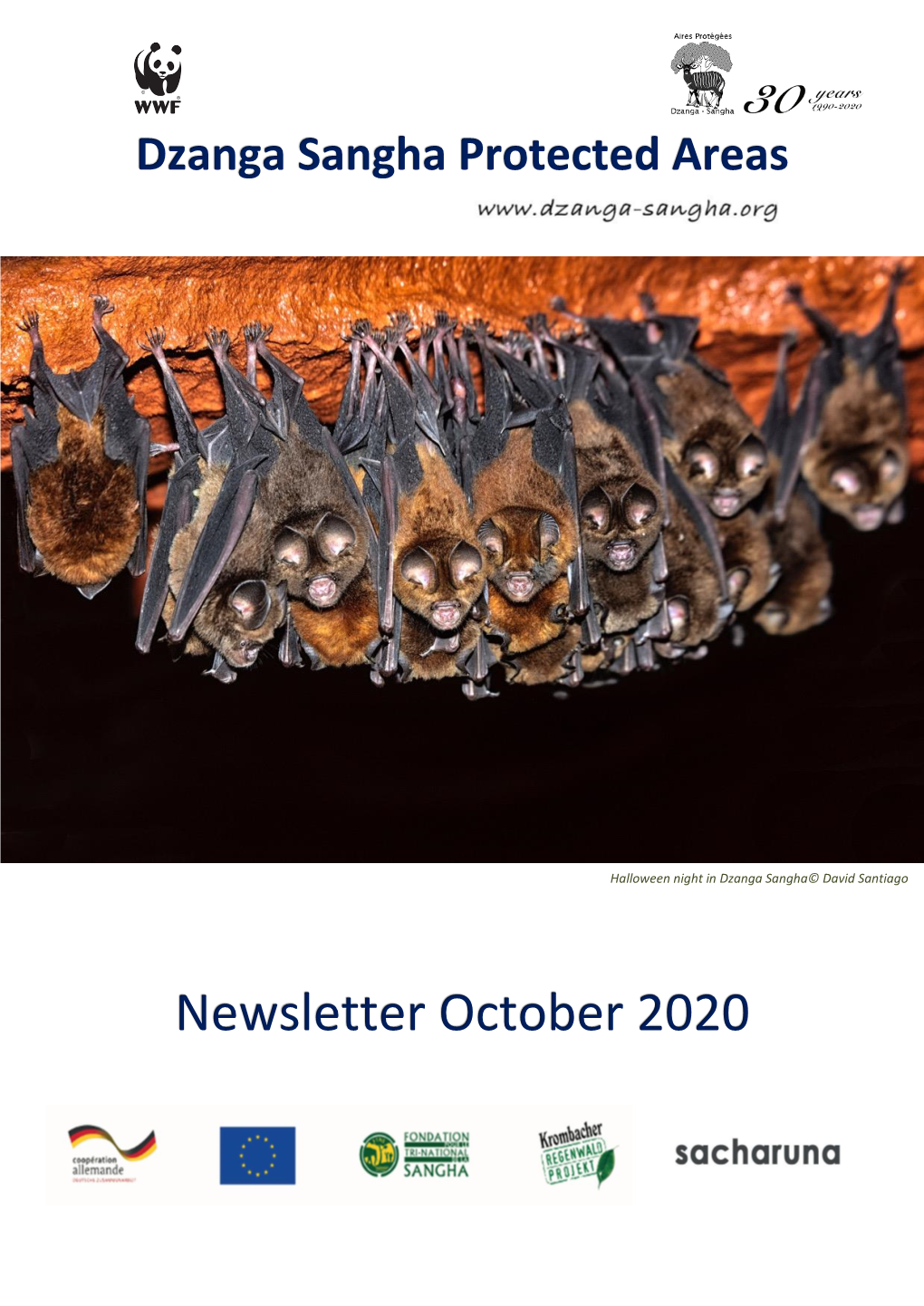 Newsletter October 2020