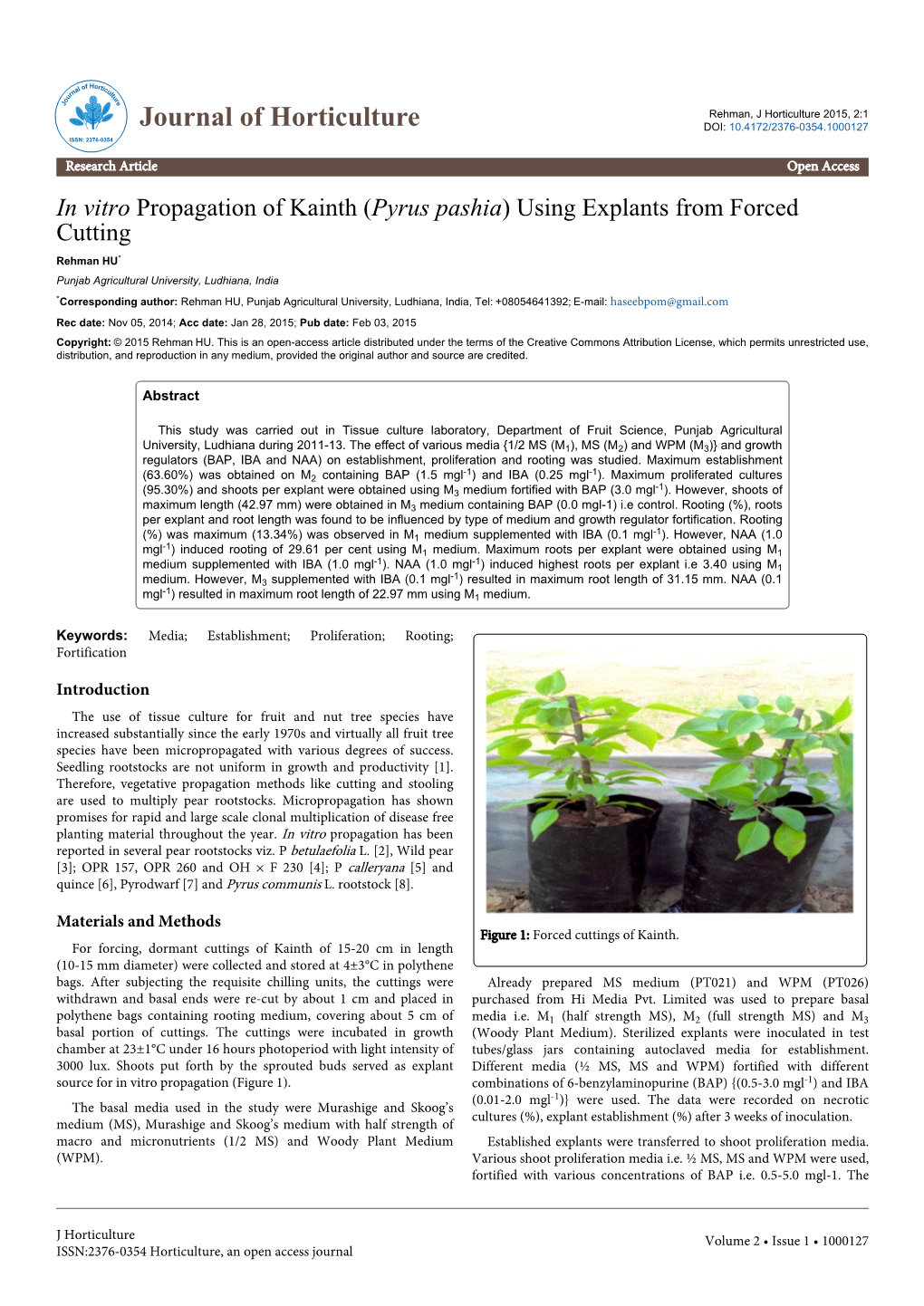 In Vitro Propagation of Kainth (Pyrus Pashia) Using Explants from Forced Cutting