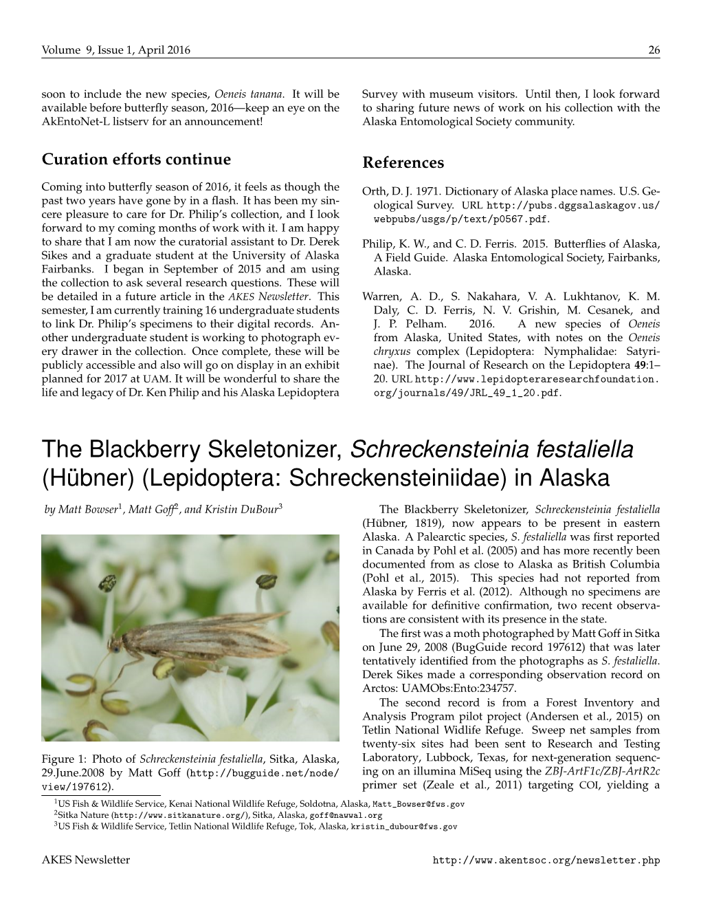 The Blackberry Skeletonizer, Schreckensteinia Festaliella (Hübner) (Lepidoptera: Schreckensteiniidae) in Alaska